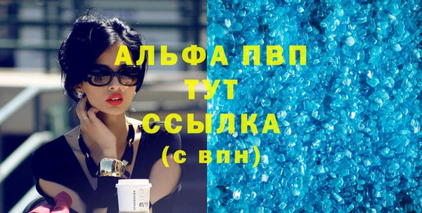 сатива Вяземский