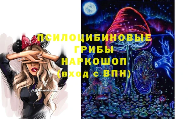 гидра Вязьма