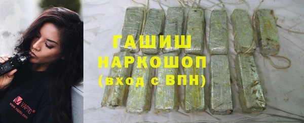 гидра Вязьма
