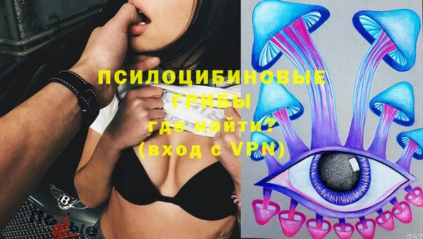 гидра Вязьма