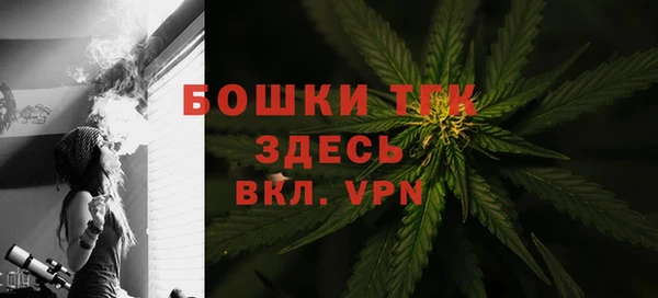 гидра Вязьма