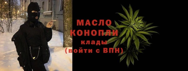 гидра Вязьма