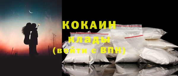 сатива Вяземский