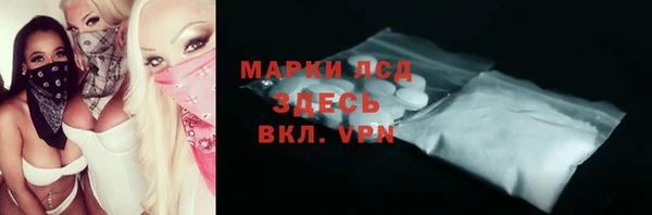 гидра Вязьма