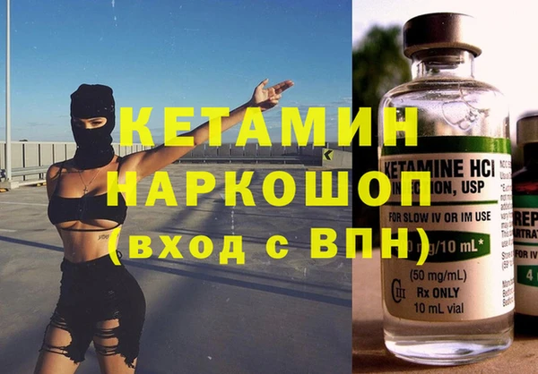 сатива Вяземский