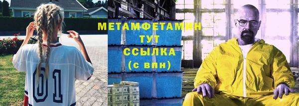 сатива Вяземский
