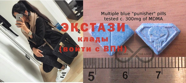 гидра Вязьма