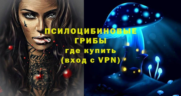 сатива Вяземский