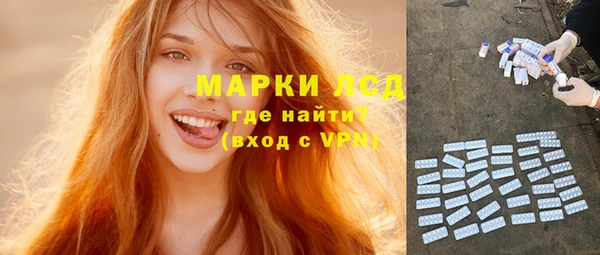 сатива Вяземский