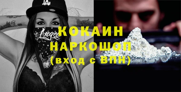 сатива Волоколамск