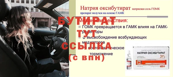 гидра Вязьма