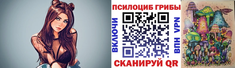 Псилоцибиновые грибы MAGIC MUSHROOMS  дарнет шоп  Злынка 